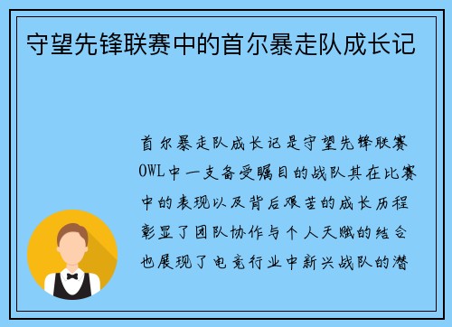 守望先锋联赛中的首尔暴走队成长记